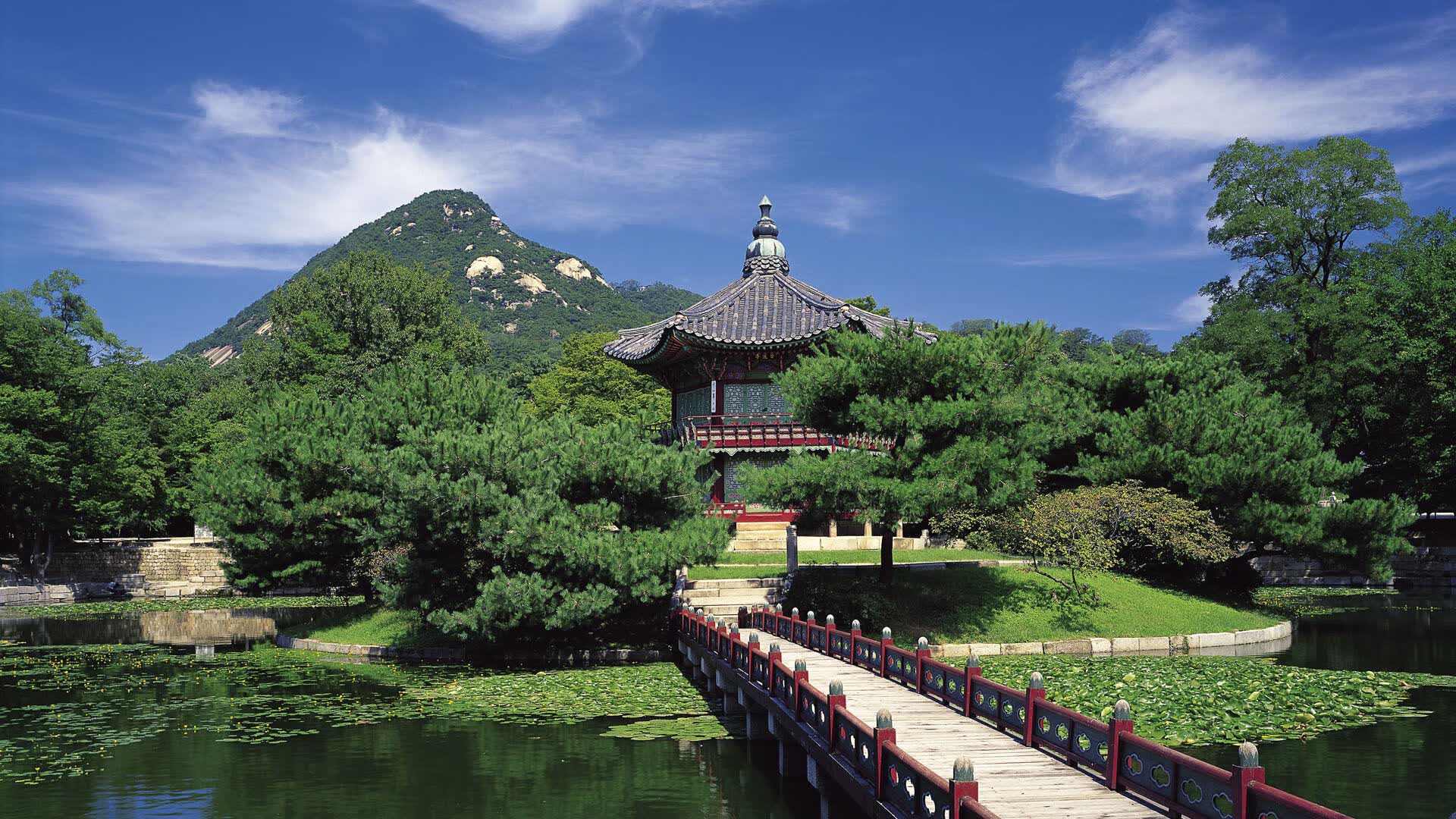 世界登山青年导师生态修复项目第22批结项名单公布，世界登山大师